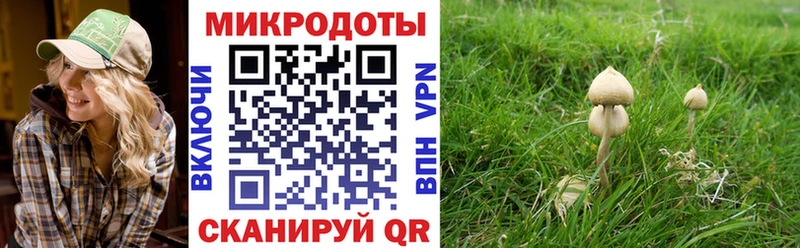 ссылка на мегу Рузаевка Галлюциногенные грибы ЛСД закладка